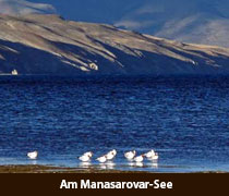 Manasarovar See