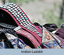Indien Ladakh