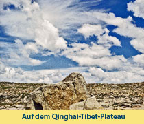 Auf dem Qinghai Tibet Plate